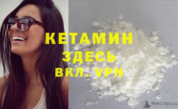 шишки Абаза