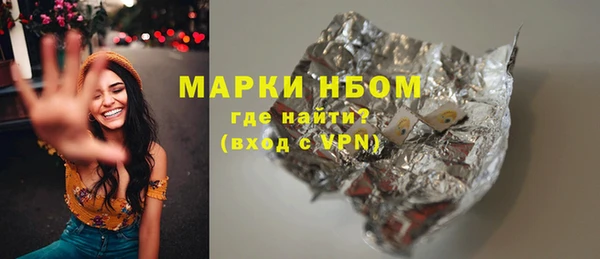 шишки Абаза