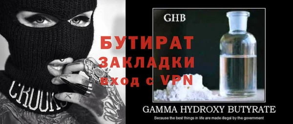 шишки Абаза