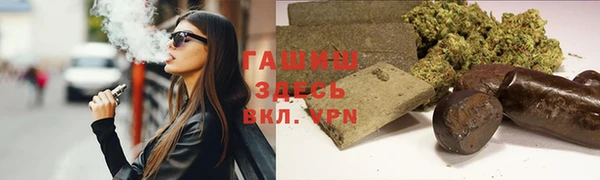 стаф Алзамай