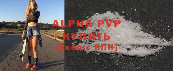 стаф Алзамай