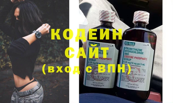 шишки Абаза