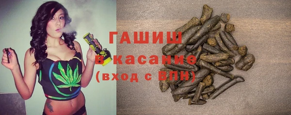 стаф Алзамай