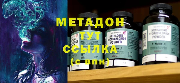 шишки Абаза