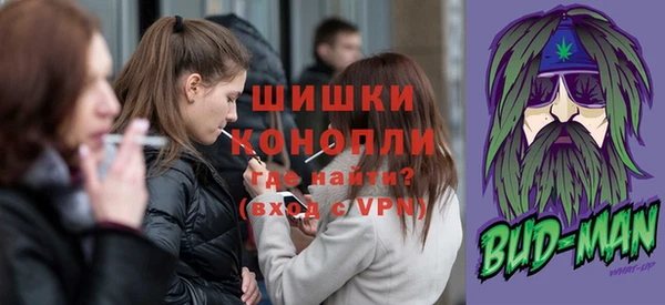 шишки Абаза