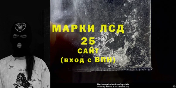 шишки Абаза