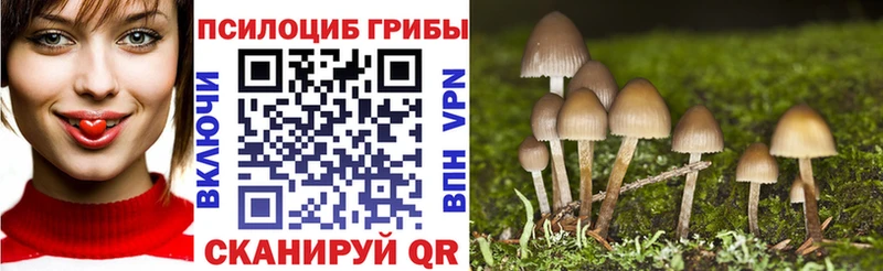 Псилоцибиновые грибы прущие грибы  купить   Нестеров 